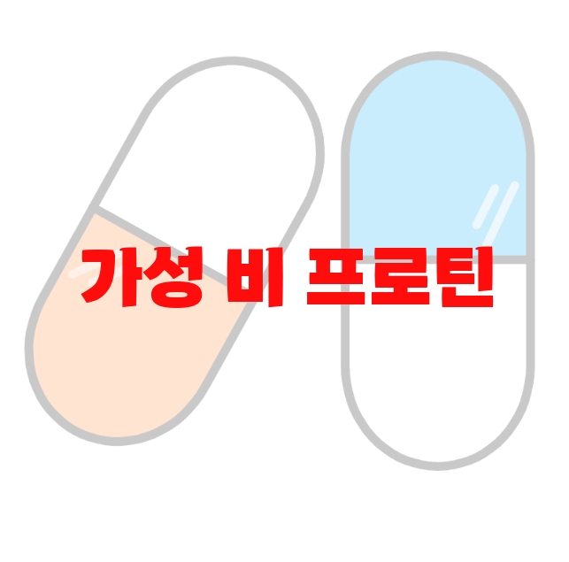 가성 비 프로틴 추천 순위 10( 2023년) – 섭취방법과 하루권장량