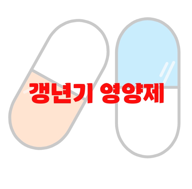 갱년기 영양제 추천 Top 10( 2023년) –