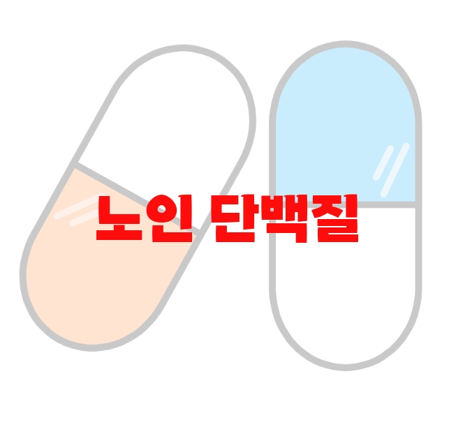 노인 단백질 보충제 추천 Top 10( 2023년) – 하루권장량 지켜서 섭취하세요 노인 단백질 보충제 추천 Top 10( 2023년) – 하루권장량 지켜서 섭취하세요