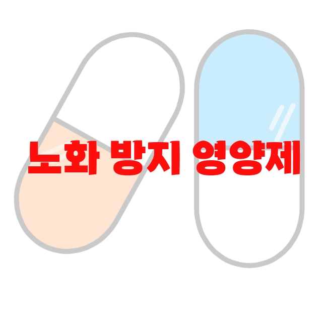 노화 방지 영양제 추천 Top 10( 2023년) – 노화 방지 영양제 추천 Top 10( 2023년) –