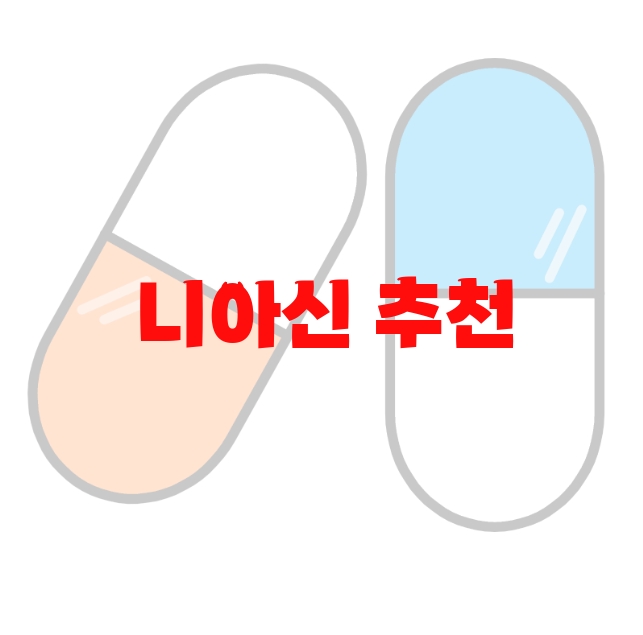 니아신 추천 추천순위 10( 2023년) – 잘 고르는 방법 니아신 추천 추천순위 10( 2023년) – 잘 고르는 방법