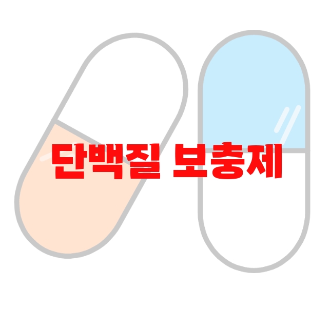 단백질 보충제 추천 헬갤 추천 인기순쉬 10( 2023년) – 하루권장량 지켜서 섭취하세요