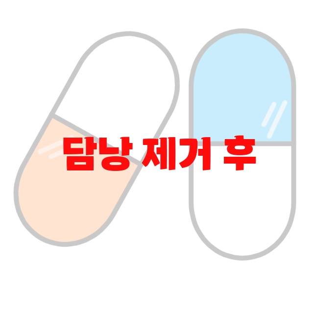 담낭 제거 후 영양제 추천  10( 2023년) – 가격과 실구매 후기 확인하세요 담낭 제거 후 영양제 추천  10( 2023년) – 가격과 실구매 후기 확인하세요