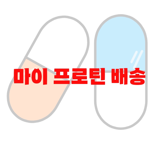 마이 프로틴 배송 추천 추천순위 10( 2023년) – 가격과 하루권장량