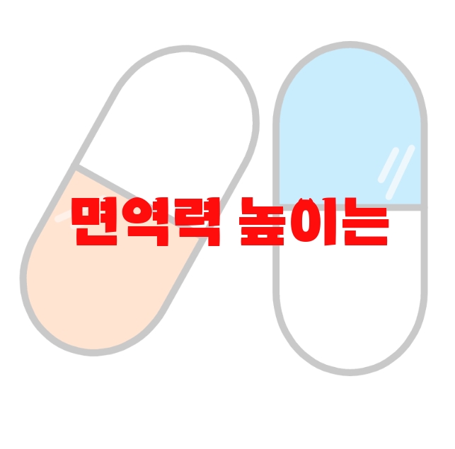 면역력 높이는 영양제 추천 Top 10( 2023년) – 먹는 법과 하루권장량