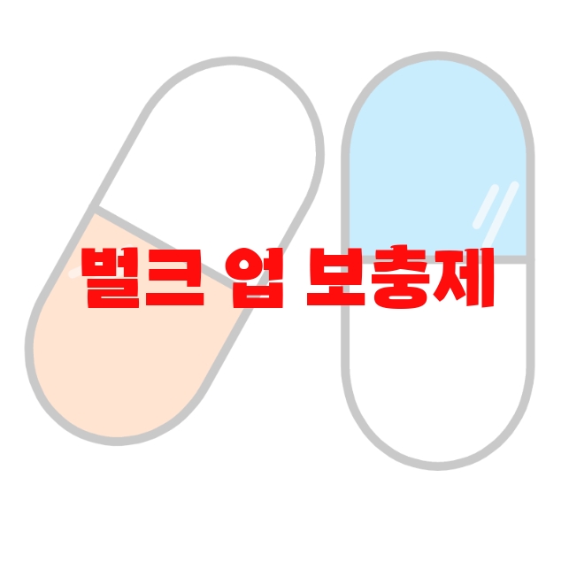 벌크 업 보충제 추천 탑 10( 2023년) – 가격과 후기 확인하세요 벌크 업 보충제 추천 탑 10( 2023년) – 가격과 후기 확인하세요