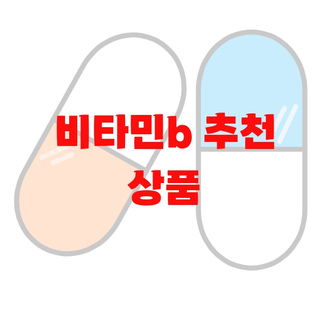 비타민b 추천 상품 10( 2023년) – 섭취방법 비타민b 추천 상품 10( 2023년) – 섭취방법