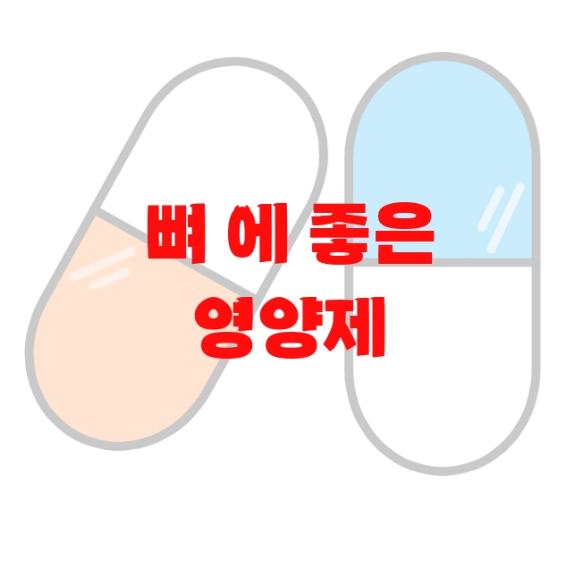 뼈 에 좋은 영양제 추천 제품 10( 2023년) – 하루 섭취량과 권장량을 꼭 지키세요