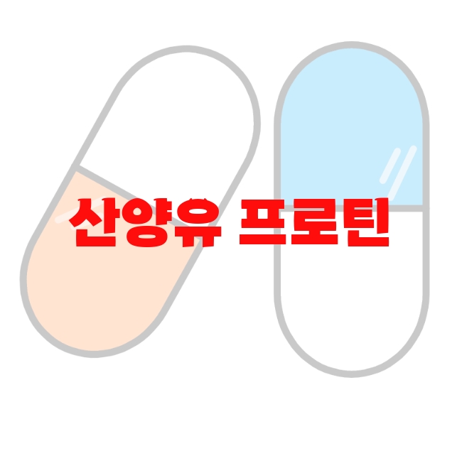 산양유 프로틴 추천 상품 10( 2023년) – 리뷰를 꼭 확인하세요