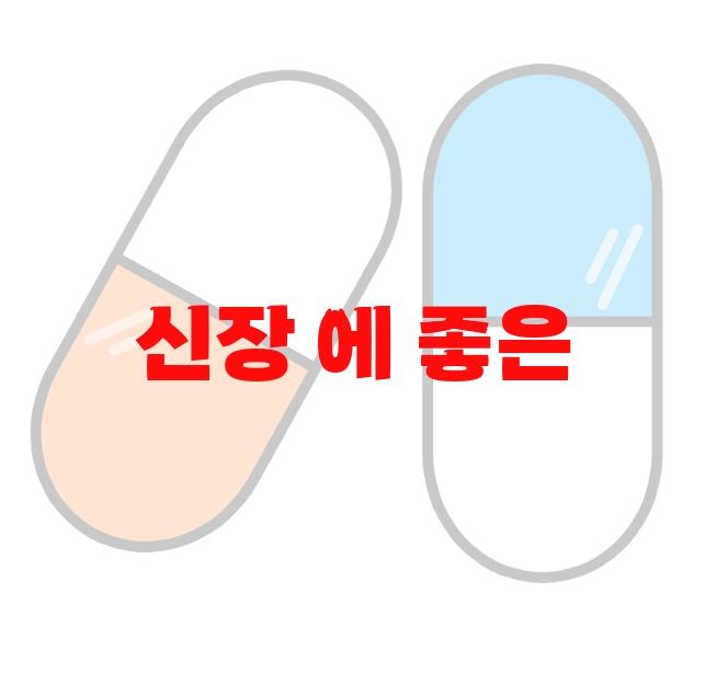 신장 에 좋은 영양제 추천 Top 10( 2023년) – 섭취방법과 하루권장량