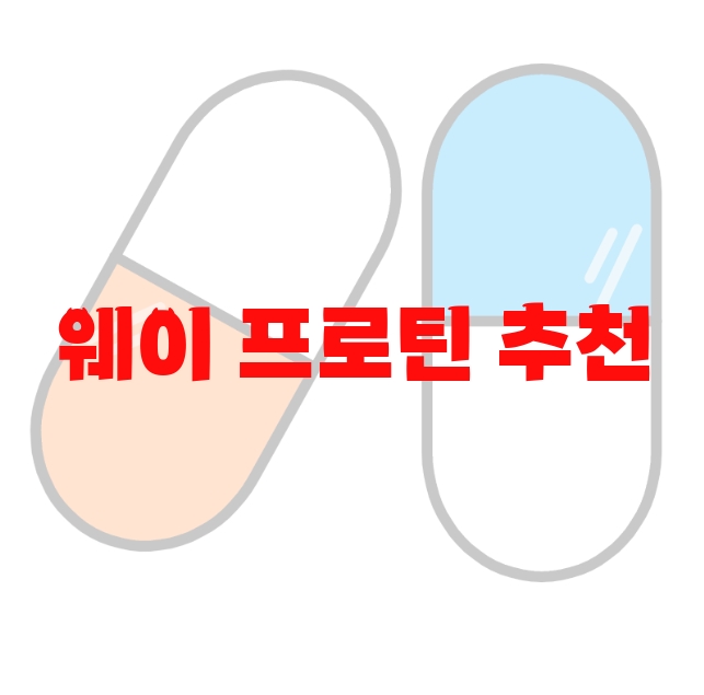 웨이 프로틴 추천 Top 10( 2023년) – 고르는 방법