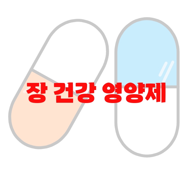 장 건강 영양제 추천 탑 10( 2023년) – 하루 섭취량과 권장량을 꼭 지키세요 장 건강 영양제 추천 탑 10( 2023년) – 하루 섭취량과 권장량을 꼭 지키세요
