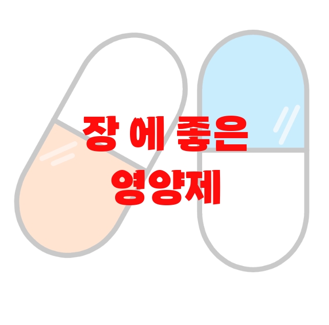 장 에 좋은 영양제 추천 순위 10( 2023년) – 할인정보와 리뷰를 확인하세요