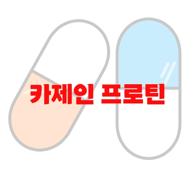 카제인 프로틴 추천 순위 10( 2023년) – 리뷰도 함께 확인하세요 카제인 프로틴 추천 순위 10( 2023년) – 리뷰도 함께 확인하세요