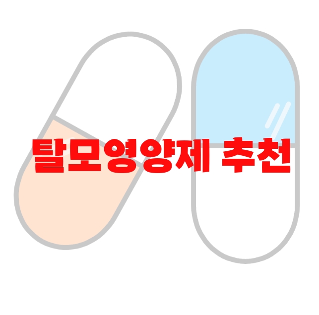 탈모영양제 추천 검색량 많은 상품 Top 10 탈모영양제 추천 검색량 많은 상품 Top 10