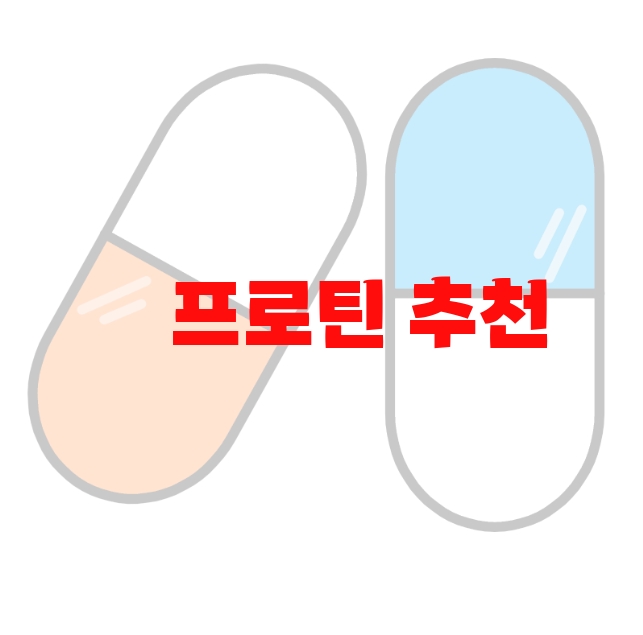 프로틴 추천 검색량 많은 상품 Top 10 프로틴 추천 검색량 많은 상품 Top 10