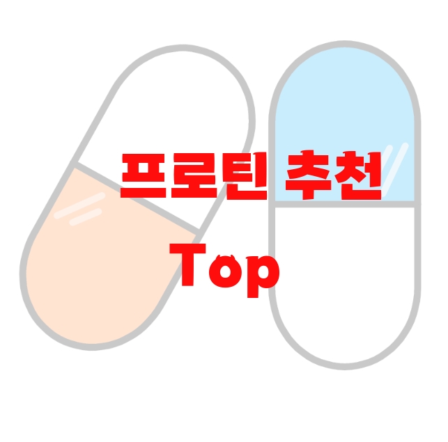 프로틴 추천 Top 10( 2023년) – 하루 섭취량은 꼭 지키세요