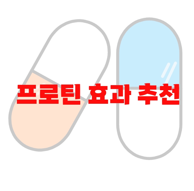 프로틴 효과 추천 상품 10( 2023년) – 리뷰도 함께 확인하세요