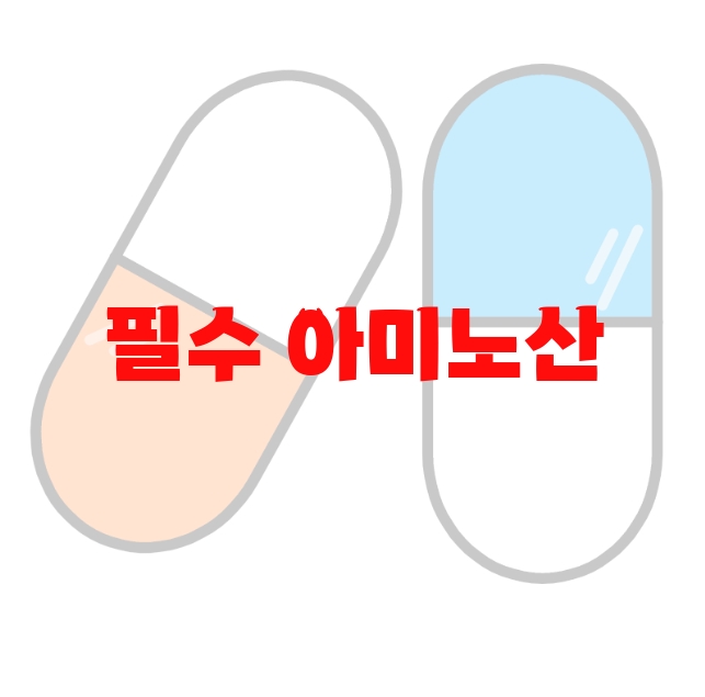필수 아미노산 영양제 추천 Top 10( 2023년) – 구매가이드 필수 아미노산 영양제 추천 Top 10( 2023년) – 구매가이드