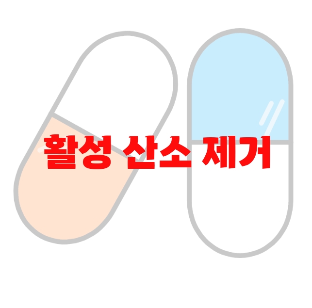 활성 산소 제거 영양제 추천 순위 10( 2023년) – 리뷰도 함께 확인하세요 활성 산소 제거 영양제 추천 순위 10( 2023년) – 리뷰도 함께 확인하세요