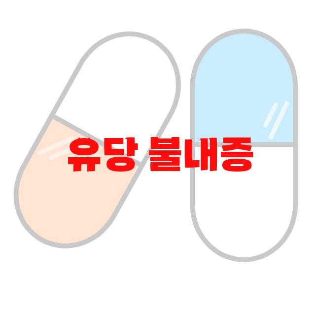 유당 불내증 프로틴 추천 검색량 많은 상품 Top 10 유당 불내증 프로틴 추천 검색량 많은 상품 Top 10