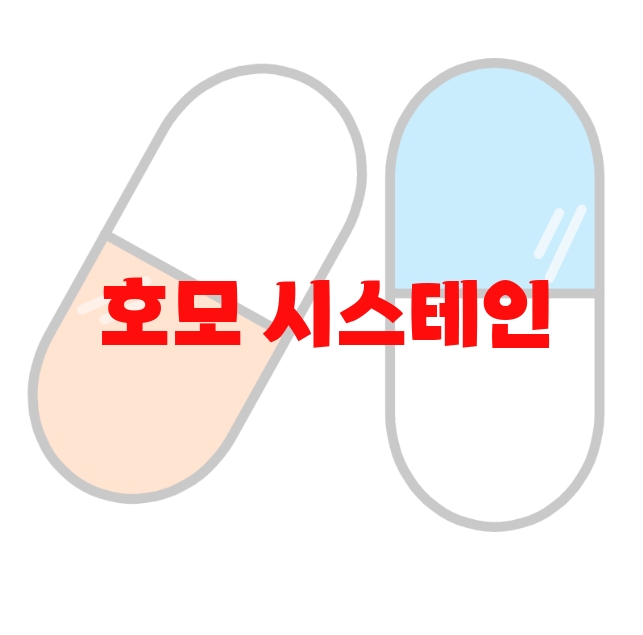 호모 시스테인 추천 리뷰 좋은 순위 10 호모 시스테인 추천 리뷰 좋은 순위 10