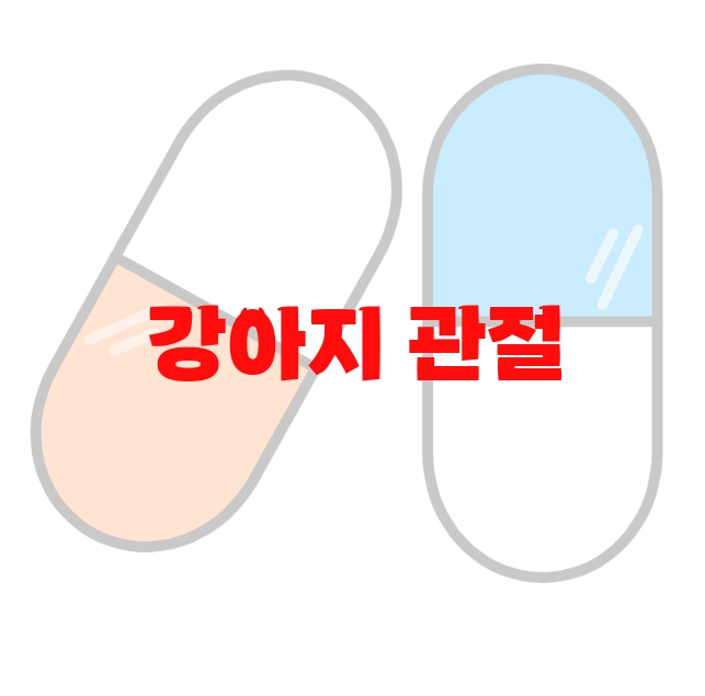 강아지 관절 영양제 추천 판매량 많은 Top 10 강아지 관절 영양제 추천 판매량 많은 Top 10