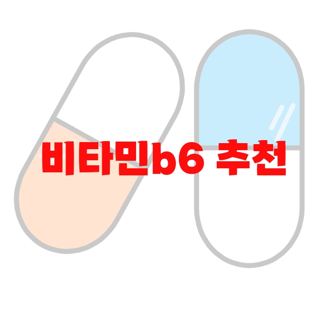 비타민b6 추천 인기 많은 제품 Top 10 비타민b6 추천 인기 많은 제품 Top 10