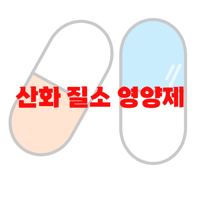 산화 질소 영양제 추천 제품 순위 10 산화 질소 영양제 추천 제품 순위 10