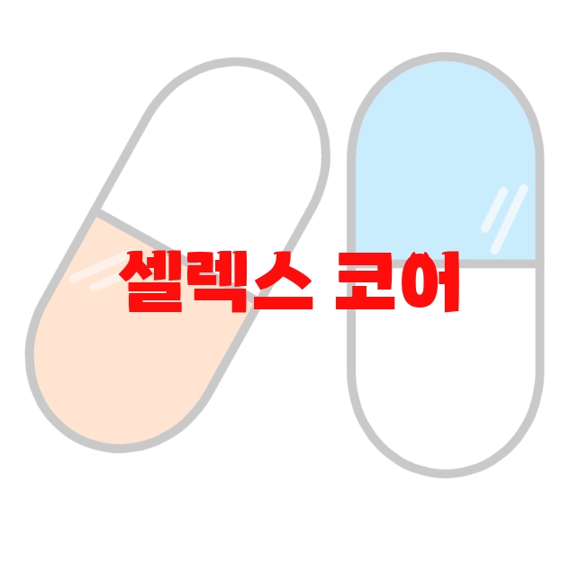 셀렉스 코어 프로틴 추천 제품 순위 10 셀렉스 코어 프로틴 추천 제품 순위 10