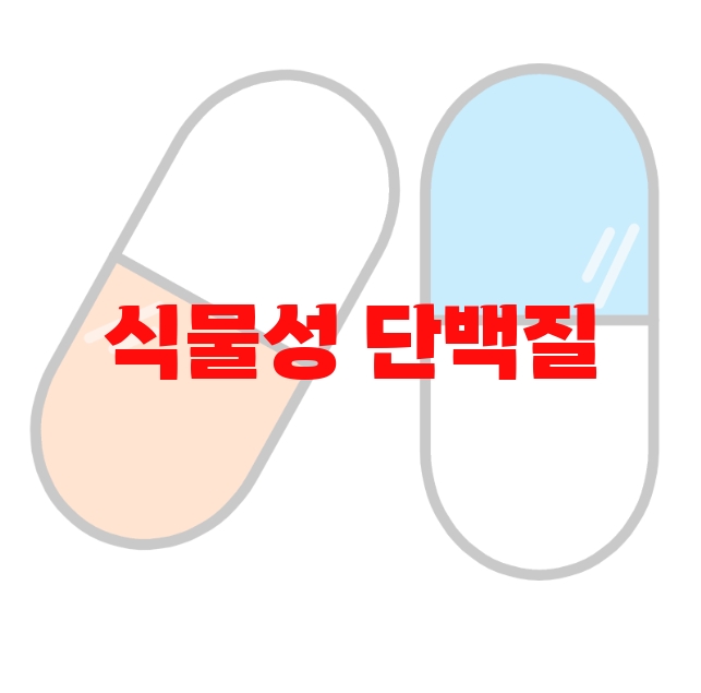 식물성 단백질 보충제 추천 검색량 많은 순위 10 식물성 단백질 보충제 추천 검색량 많은 순위 10