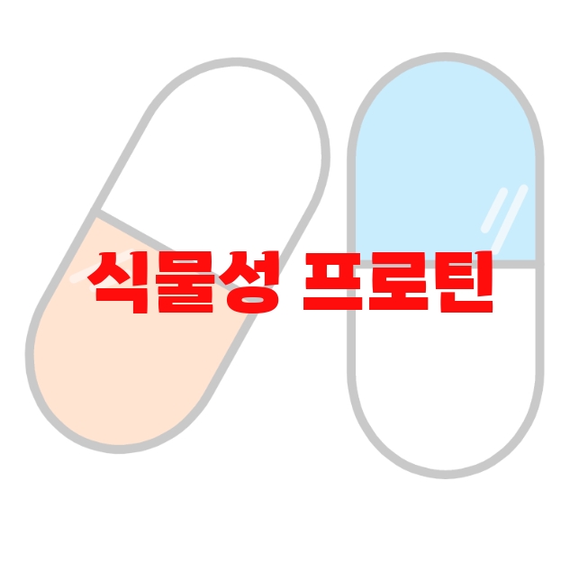 식물성 프로틴 추천 제품 순위 10 식물성 프로틴 추천 제품 순위 10