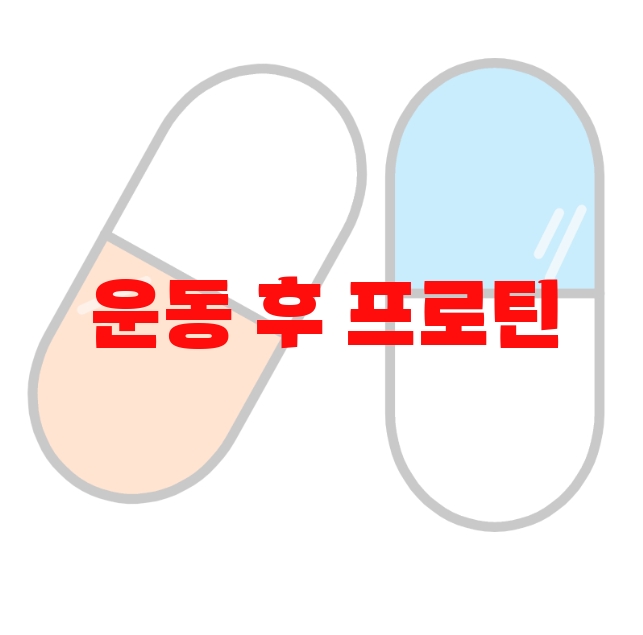 운동 후 프로틴 추천 인기 많은 제품 순위 10 운동 후 프로틴 추천 인기 많은 제품 순위 10