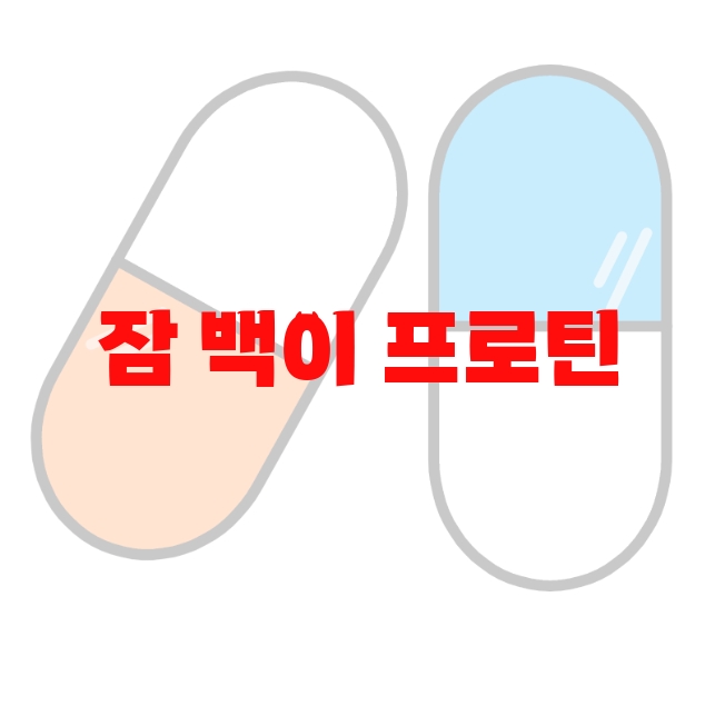 잠 백이 프로틴 추천 인기 많은 제품 순위 10 잠 백이 프로틴 추천 인기 많은 제품 순위 10
