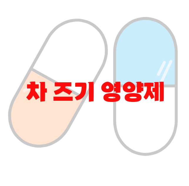 차 즈기 영양제 추천 리뷰 좋은 순위 10 차 즈기 영양제 추천 리뷰 좋은 순위 10