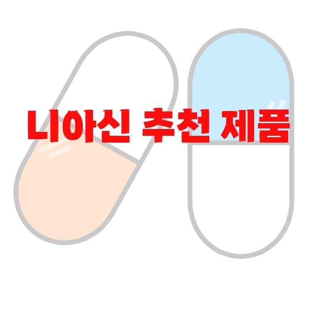 니아신 추천 제품  10 니아신 추천 제품  10
