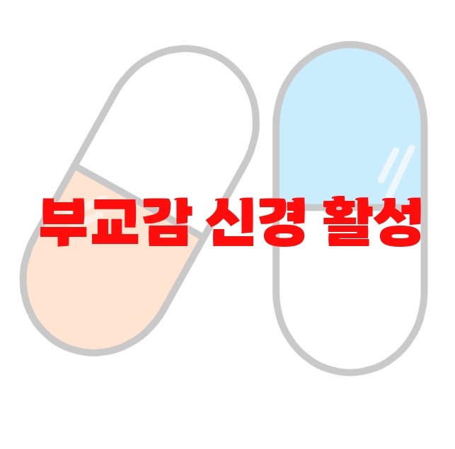 부교감 신경 활성 영양제 추천 제품  10 부교감 신경 활성 영양제 추천 제품  10