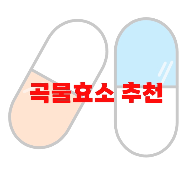 곡물효소 추천 검색량 많은 순위 Top  10 곡물효소 추천 검색량 많은 순위 Top  10