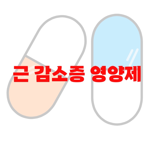 근 감소증 영양제 추천 인기 많은 제품 Top  10 근 감소증 영양제 추천 인기 많은 제품 Top  10