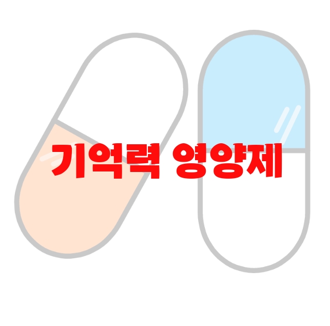 기억력 영양제 추천 순위 Top  10 기억력 영양제 추천 순위 Top  10