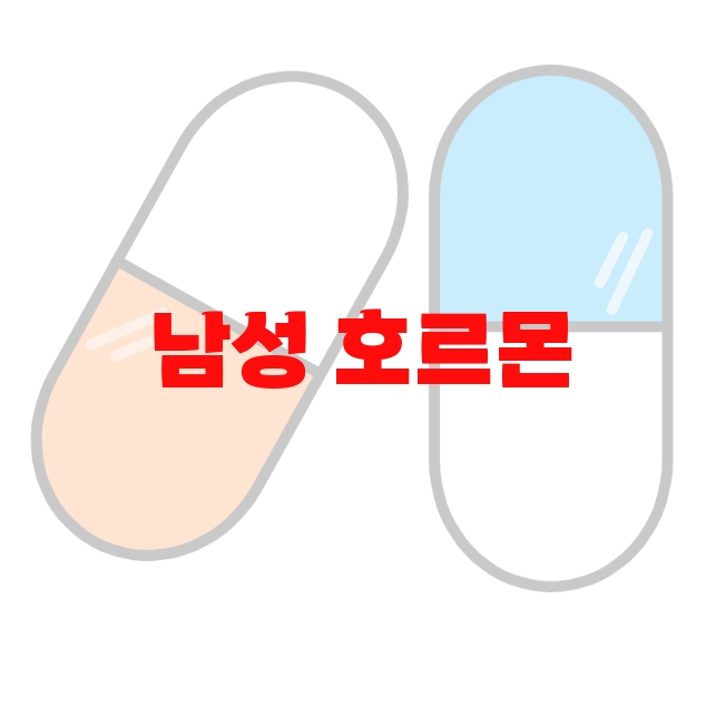 남성 호르몬 높이는 영양제 추천 리뷰 좋은 순위 Top  10 남성 호르몬 높이는 영양제 추천 리뷰 좋은 순위 Top  10