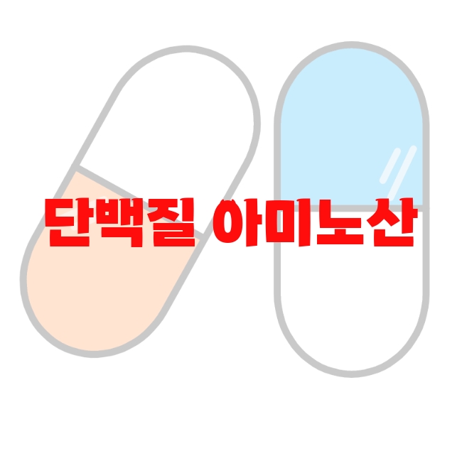 단백질 아미노산 추천 제품 순위 Top  10 단백질 아미노산 추천 제품 순위 Top  10
