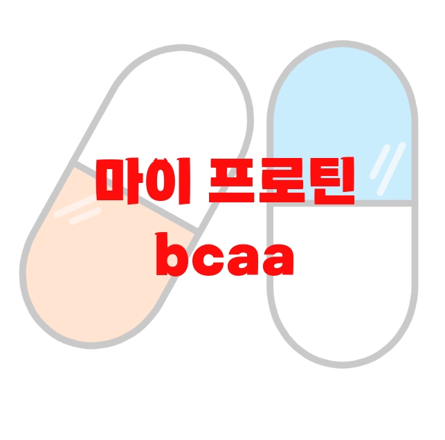 마이 프로틴 bcaa 추천 리뷰 좋은 순위 Top  10 마이 프로틴 bcaa 추천 리뷰 좋은 순위 Top  10
