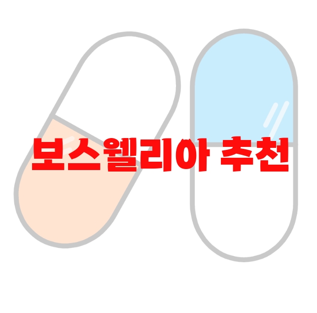 보스웰리아 추천 판매량 많은 Top  10 보스웰리아 추천 판매량 많은 Top  10