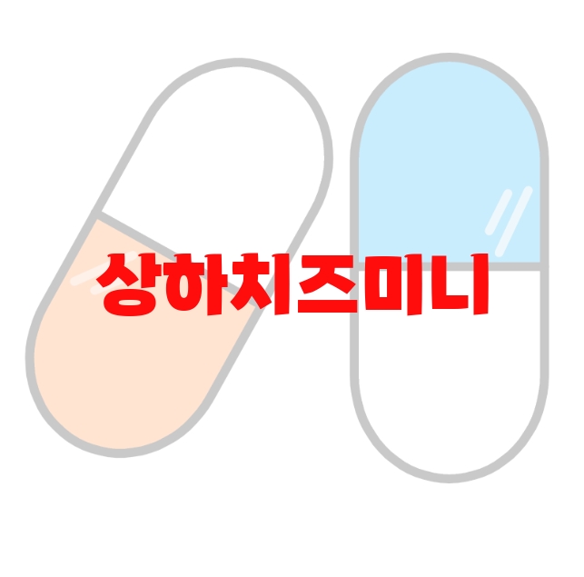 상하치즈미니 추천 검색량 많은 순위 Top  10 상하치즈미니 추천 검색량 많은 순위 Top  10