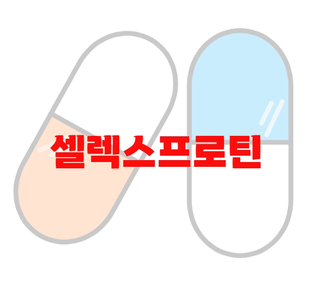 셀렉스프로틴 추천 인기 많은 제품 순위 Top  10 셀렉스프로틴 추천 인기 많은 제품 순위 Top  10