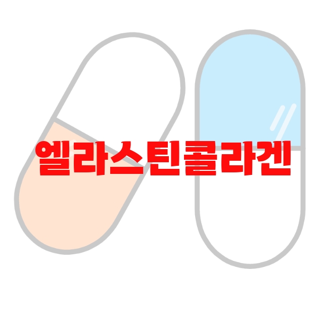엘라스틴콜라겐 추천 검색량 많은 상품 Top  10 엘라스틴콜라겐 추천 검색량 많은 상품 Top  10