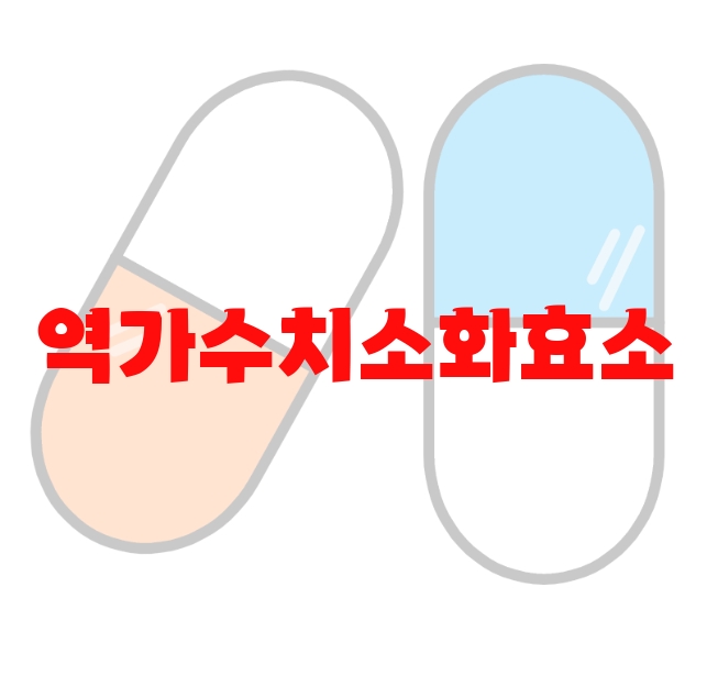 역가수치소화효소 추천 판매량 많은 순위 Top  10 역가수치소화효소 추천 판매량 많은 순위 Top  10