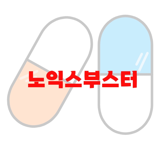 노익스부스터 추천 판매량 많은 순위 Top  10