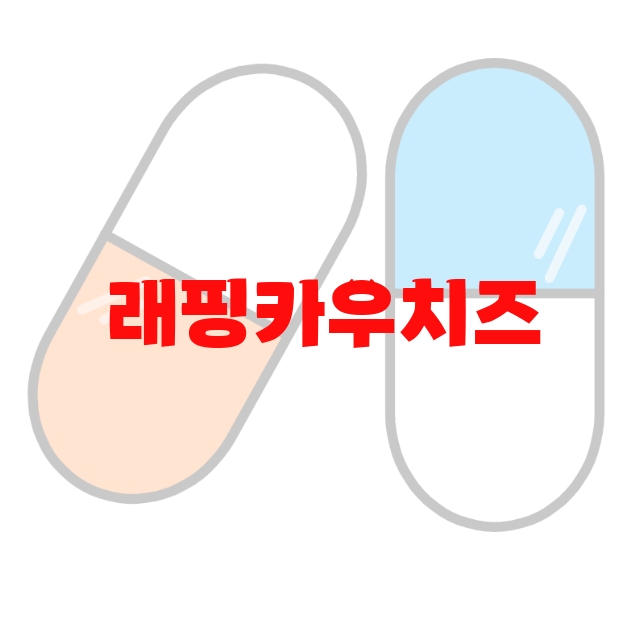 래핑카우치즈 추천 순위 Top 10 래핑카우치즈 추천 순위 Top 10